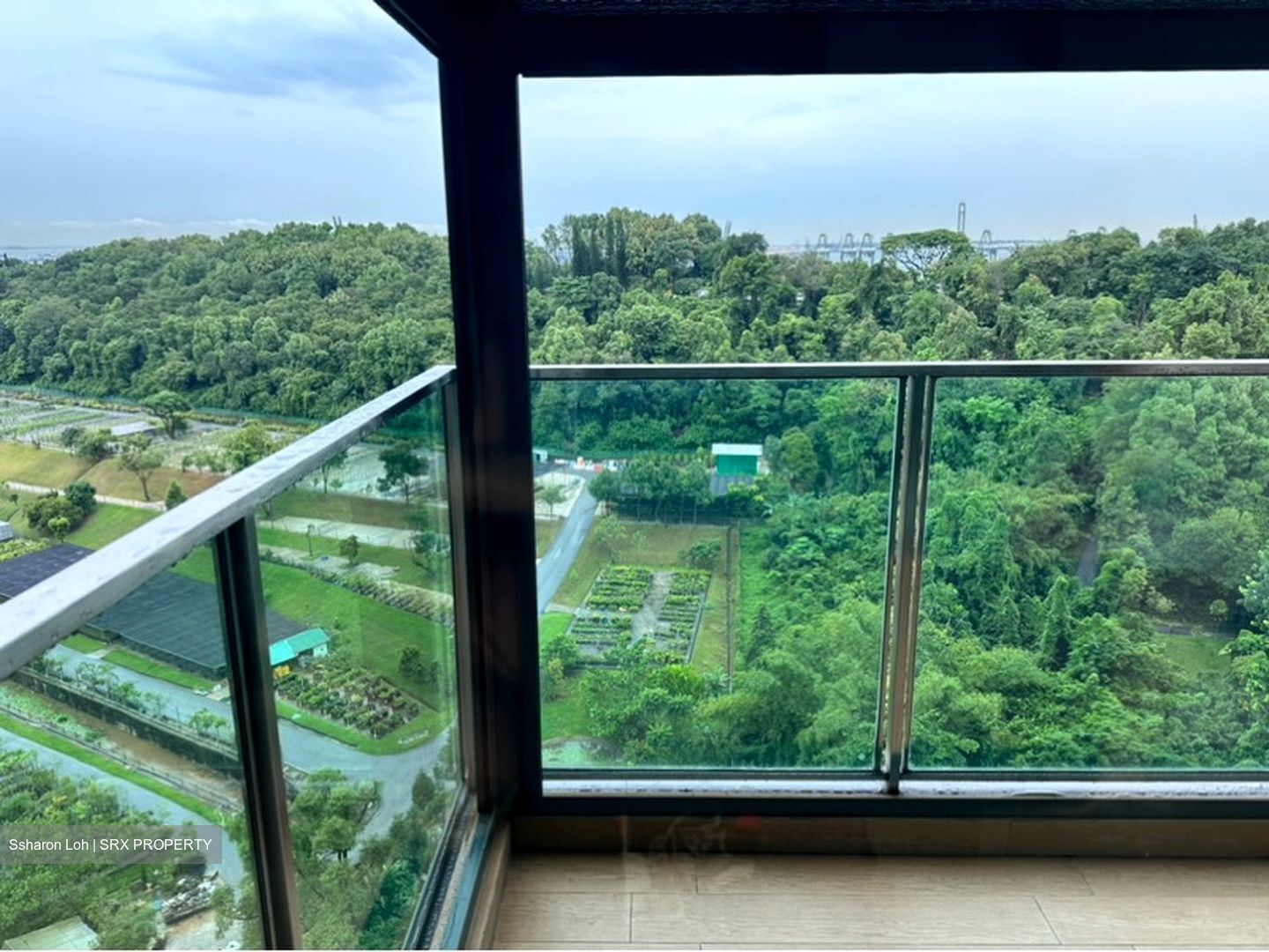 Normanton Park (D5), Apartment #577328701